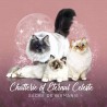 Commande Eternal Celeste